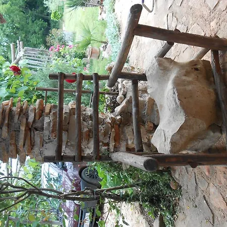 Holiday Guscok Umago